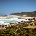 ZAF WC CapePoint 2016NOV14 PlatboomBeach 002  As you can see, the small beach boasts some small white sandy dunes, crystal clear water, and looks to be a kite/wind surfing playground. We were able to spot some baboons and ostrichs while heading through. : 2016, 2016 - African Adventures, Africa, Date, Month, November, Places, South Africa, Southern, Trips, Western Cape, Year